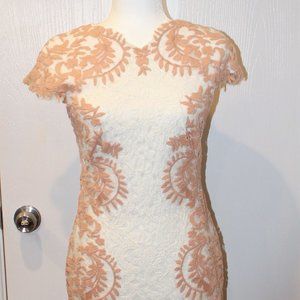 Pink and white lace Tadashi Shoji Dress